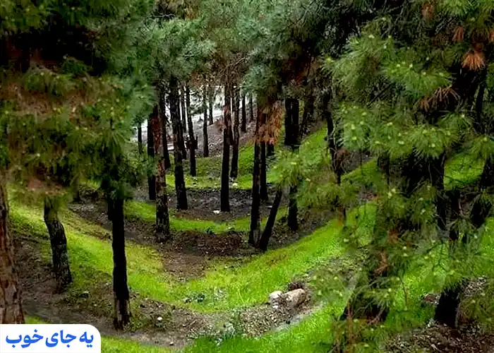 تاریچه پارک جنگلی لویزان